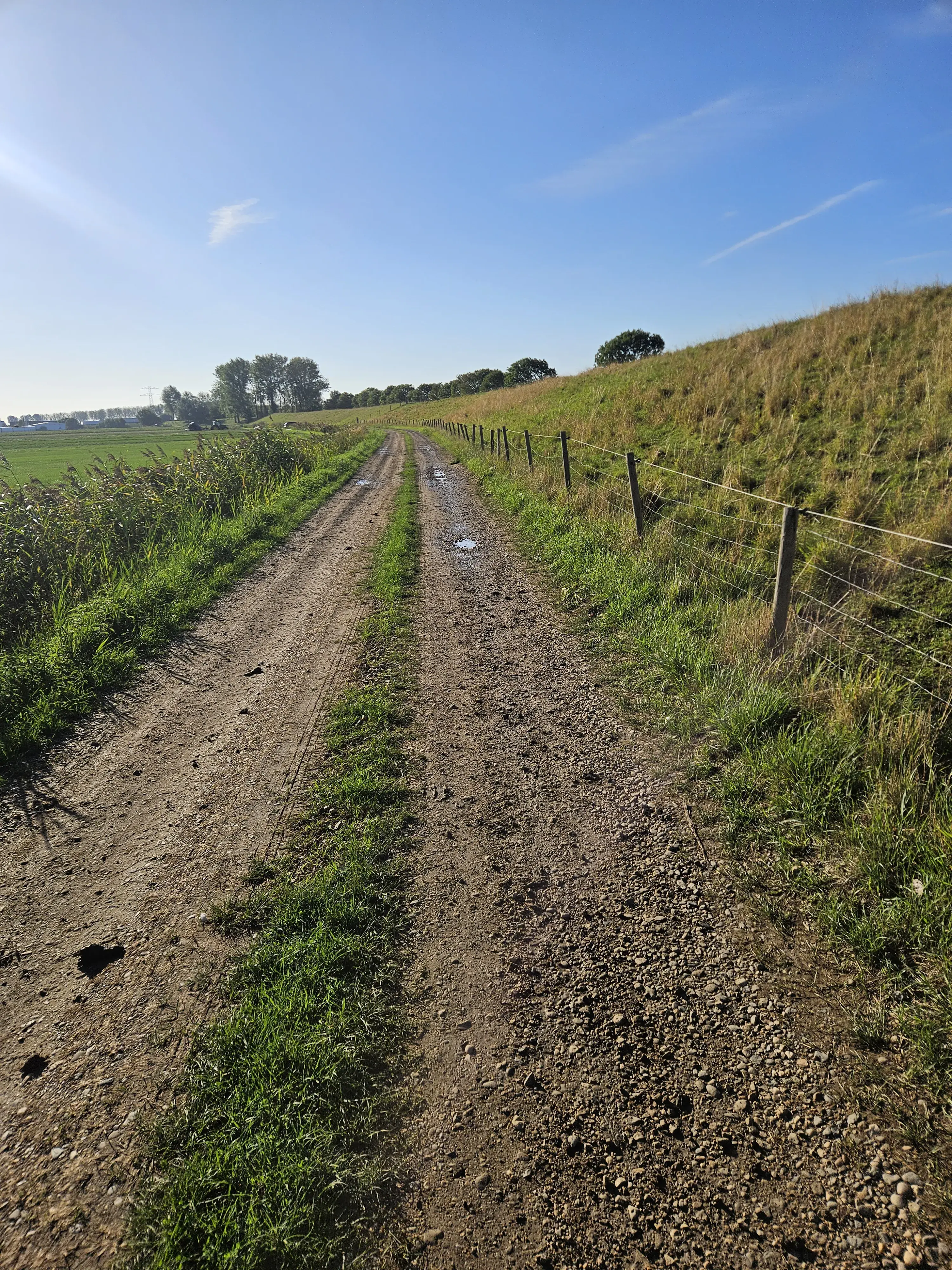 Misschien wel de mooiste gravelstrook van Reimerswaal: Gawege in Rilland